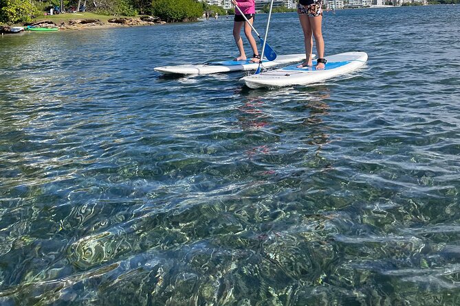 5 Best Canoe And Kayak Experiences In Puerto Rico