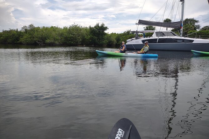 1-Hour Single Kayak Rental With Manatee & Dolphin Sightings - Booking Details