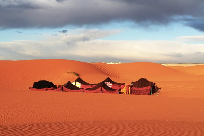 1 Night Camel Trek Bivouac From Merzouga