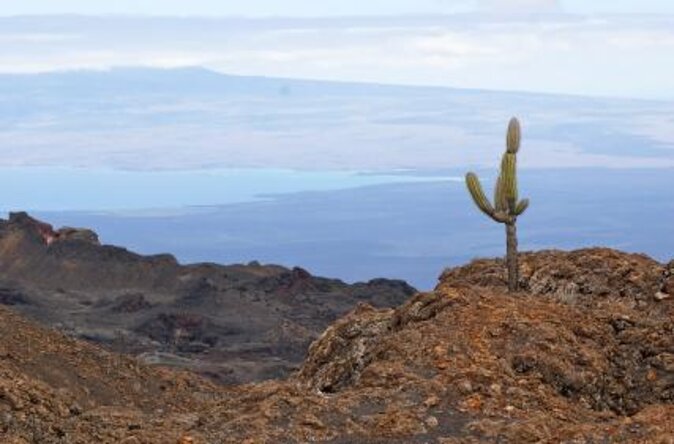 10-Day Galapagos and Amazon Quest
