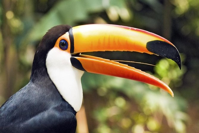 10 Days Essential Costa Rica - Package With Manuel Antonio National Park