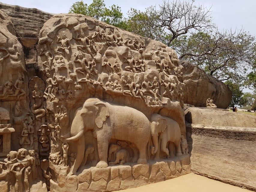 10 Days Private Car and Driver Tour of Tamilnadu & Kerala !!