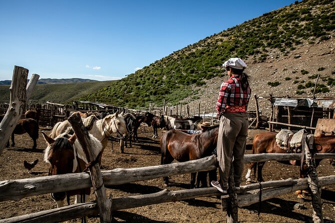 10-Hour Gaucho Horseback Riding in Mendoza With BBQ
