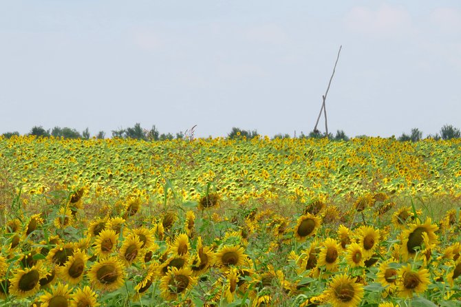 100 Km by Bike Near Bucharest - Inclusions