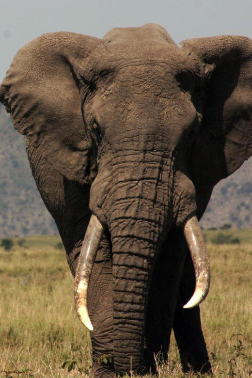 12 Day Private Safari – Johannesburg to Cape Town
