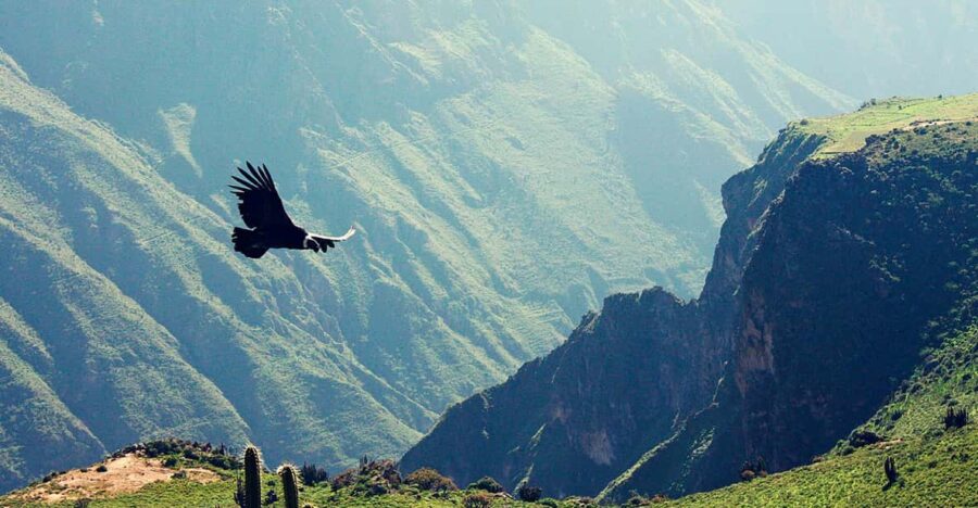 14D Lima Inca Trail Machu Picchu Puno Colca Canyon Ica Nazca