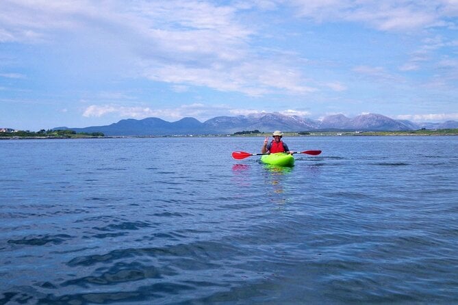 2.5 Hour Guided Sea Kayaking in Roundstone Bay - Overview of the Tour