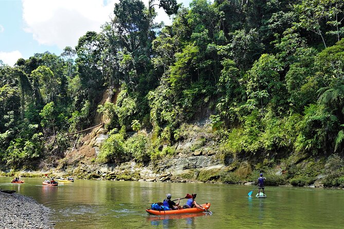 2-Day Kayaking Adventure in the Amazon
