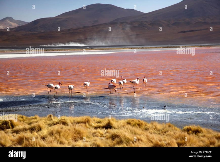2-Day Private Tour to Salar De Uyuni and Laguna Colorada