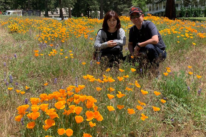 2-Day Private Yosemite Tour: Waterfalls, Sequoias and Glacier Pt