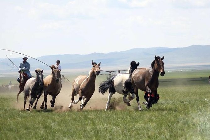 2 Day Semi-Gobi Tour With Nomads and Free Camel Ride
