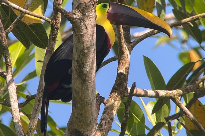 Best 2 Day Tours In Puerto Jimenez
