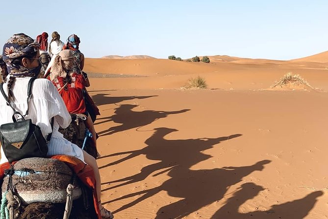 2 Days/1 Night Desert Tour From Fes and Back to Fes - Tour Overview