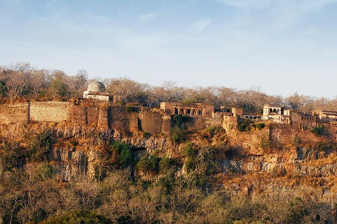 2 Days Ranthambore Tiger Safari With Tickets - Overview of Ranthambore Safari