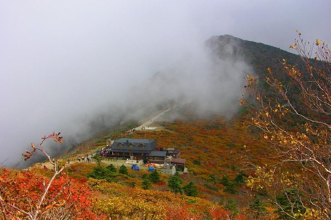 2-Days: Real Hiking to Mt Seorak Summit(1,708m) With Professional Mountaineer