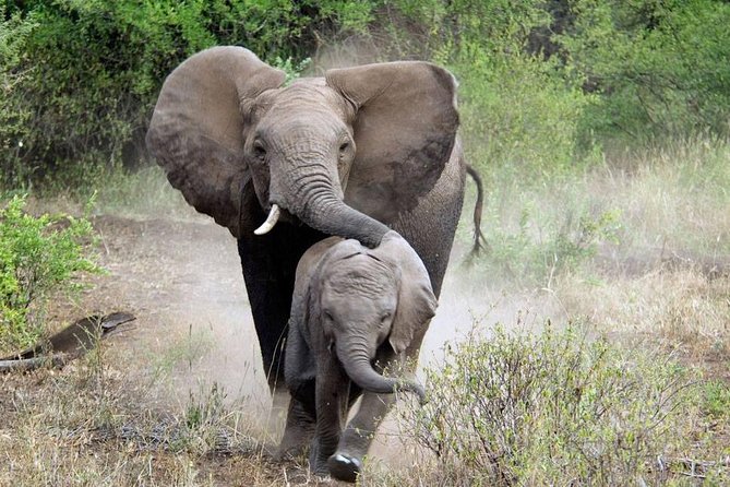 2 Best 2 Day Tours In Zanzibar City