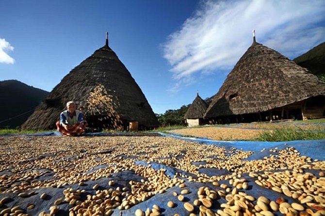 2 Days Wae Rebo Tour Private
