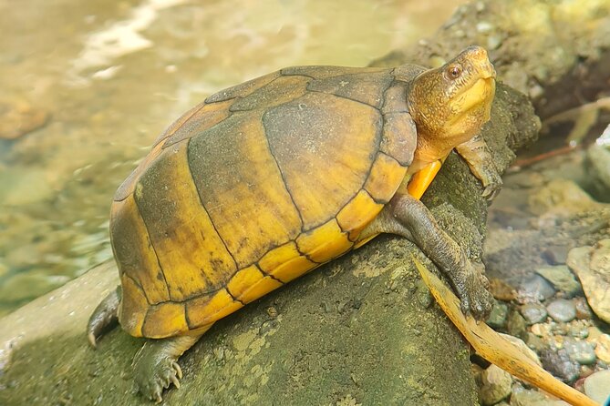 2-Hour Boat Tour in Quepos