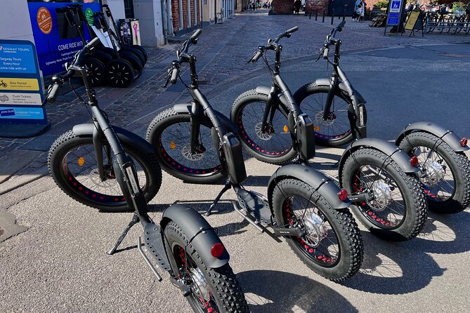 2 Hour Copenhagen Tour on Electric Scooter Stand Up Bike
