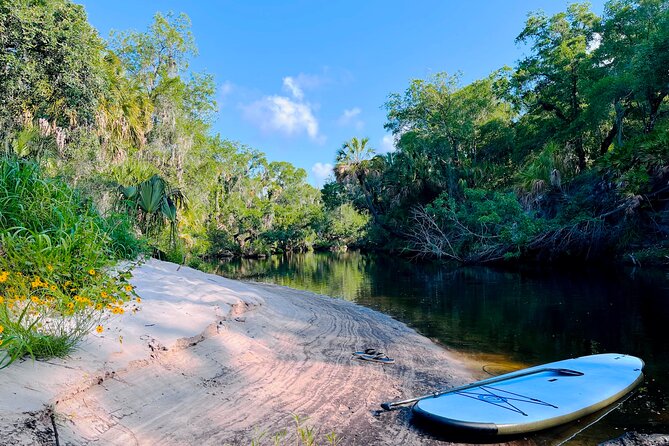 2 Hour Guided Stand up Paddle Board Tour Along Upper Manatee River