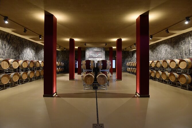2-Hour Private Guided Tour With Tasting of Bolgheri DOCS - Inclusions and Accessibility