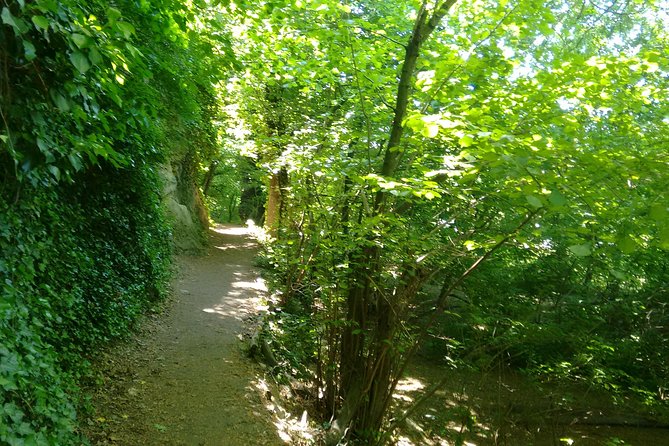 2-Hour Private Hiking Tour to Meet History at Braunsberg Mountain From Vienna - Tour Overview