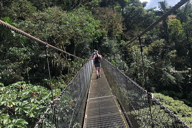 2-Hour Private Místico Hanging Bridges Naturalist Walk