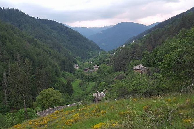 2 Hour Private Superb Buggy Adventure - Tour Overview