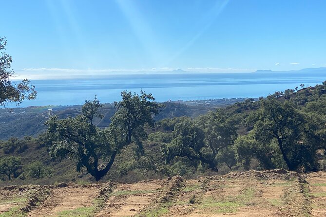2 Hour Quad/ATV Tour Off-Road Adventure in Mijas - Meeting and End Point
