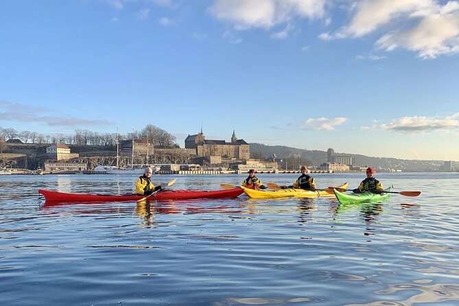 2 Hour Sea Kayak Tour on Oslofjord From Central Oslo