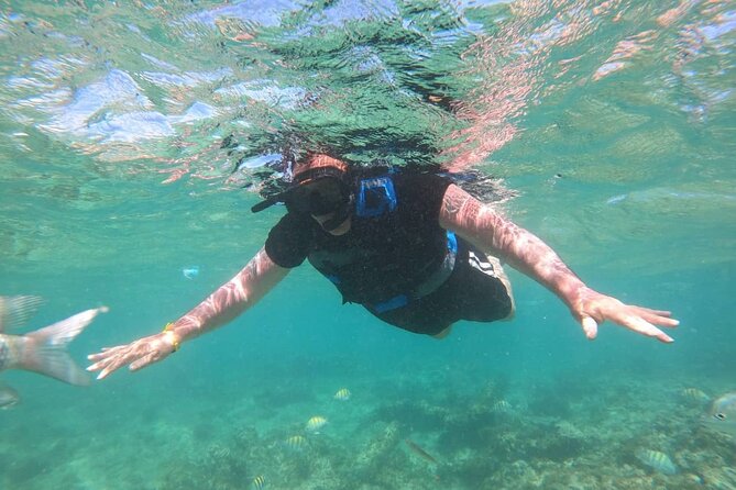 2 Hour Speed Boat and Snorkeling Adventure in Punta Cana - Inclusions and Pricing