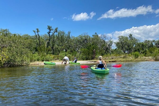 2 Hour Tandem Kayak Tour (Price for 2 People)