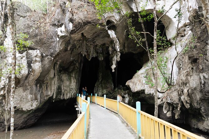 2 Hours Private Mangrove Tour Langkawi