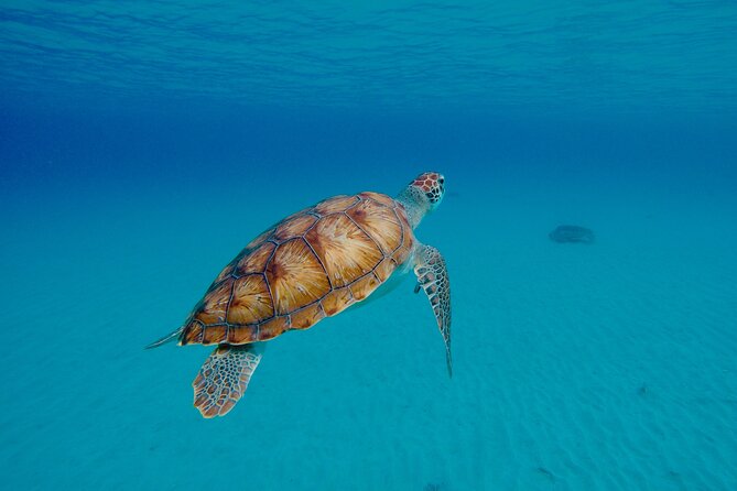 2 Hr Jetski Private Tour in Barbados - Single Rider Per Jetski