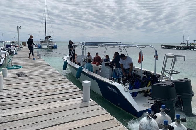 2-Tank Scuba Diving Ambergris Caye