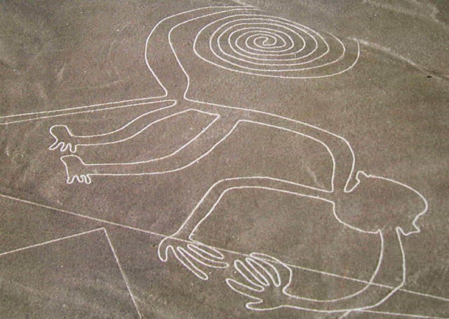 2D Tour Nasca Lines Ballestas Islands Tour Paracas Reserve