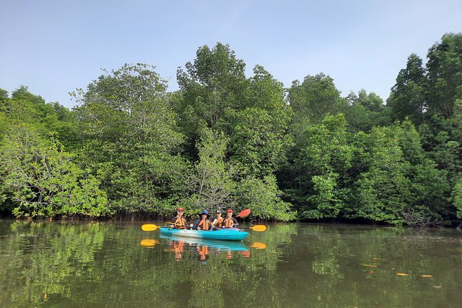 3-4 Hours Mangrove Kayaking Tour