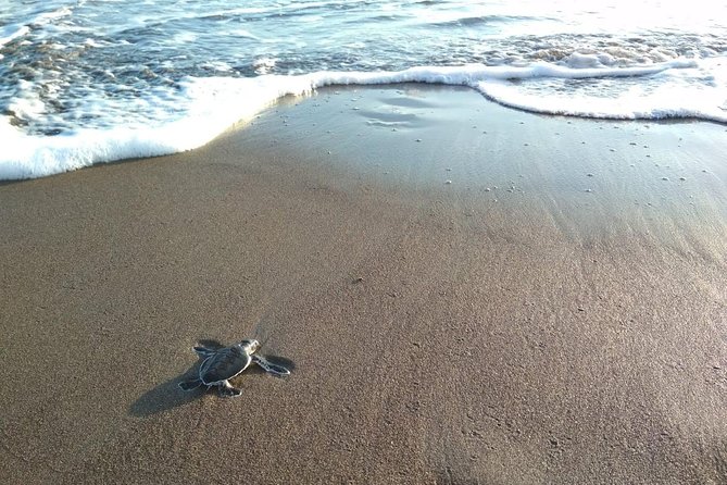 3 Day / 2 Night Tour in Tortuguero