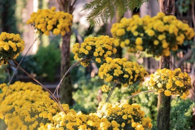 3-Day Busch Gardens Christmas Carnival Tour From New York & New Jersey