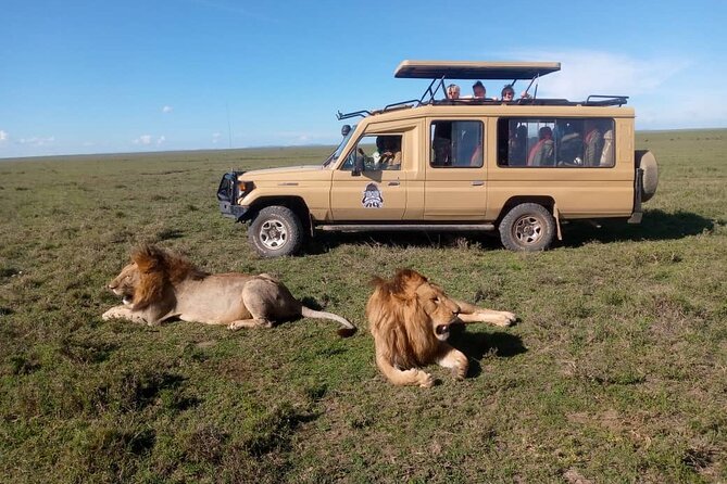 3-Day Camping Safari Tarangire, Lake Manyara & Ngorongoro Crater