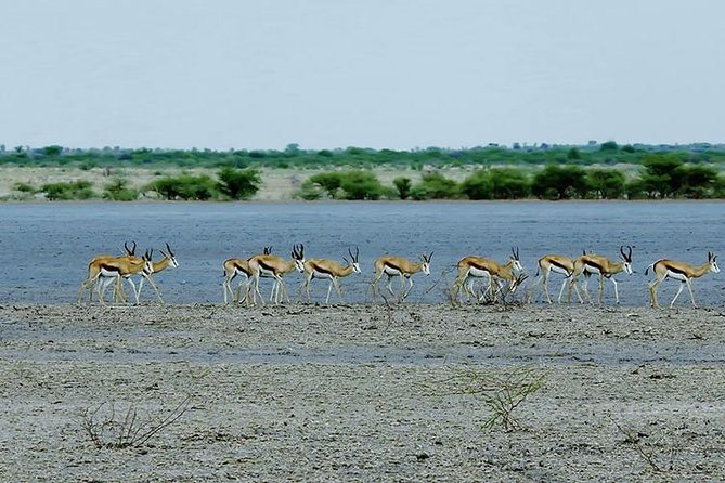 3 Day Chobe National Park Camping Tour