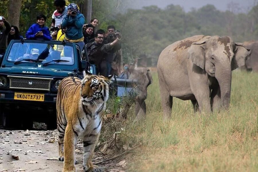 4 Best National Parks Tours In New Delhi