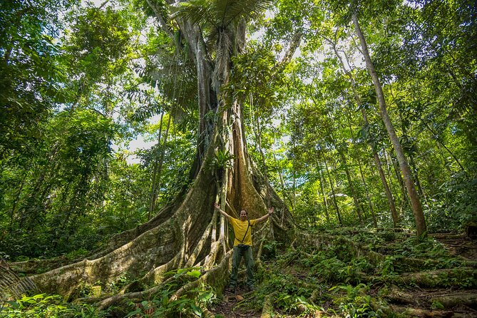 3-Day Lodge in the Jungle Pacaya Samiria