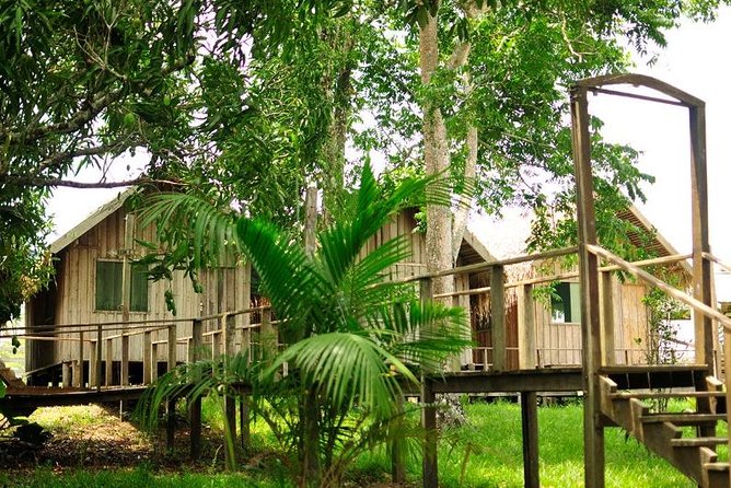3-Day Manaus Amazon Jungle Adventure
