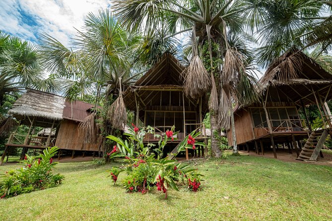 3 Day Pacaya Samiria Amazon Nature Reserve From Iquitos