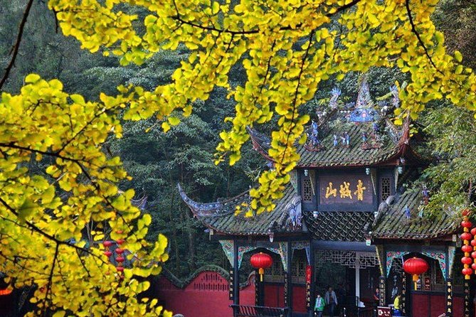 3-Day Private Tour: Incredible Chengdu Highlights Review