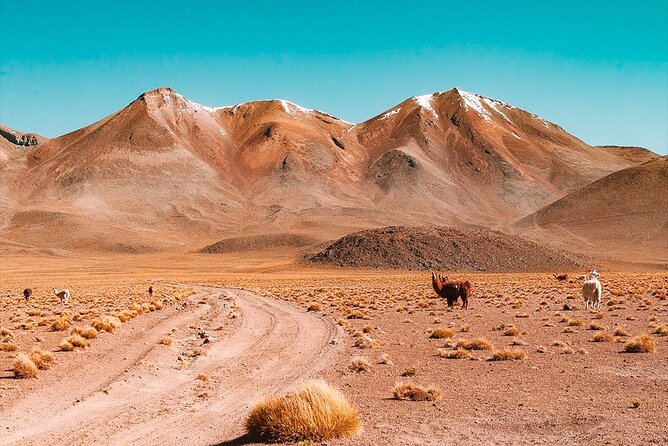 3-Day Private Tour of Uyuni Salt Flats and Colored Lagoons Roundtrip From Uyuni