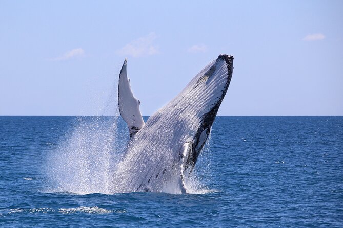 2 Best 3 Day Tours In Cali