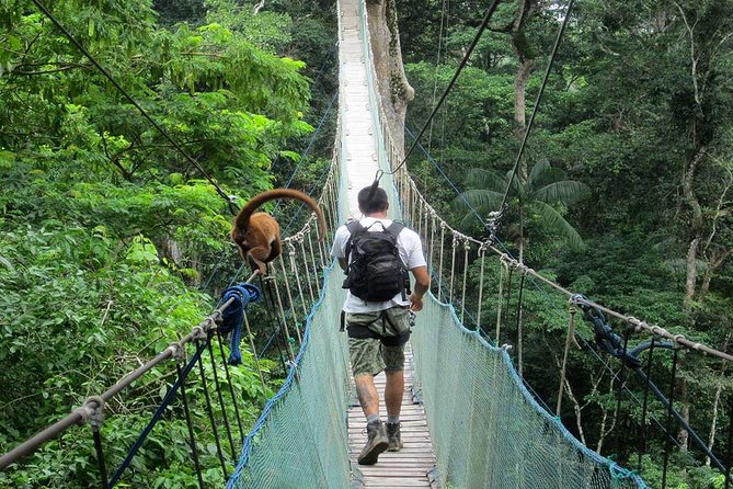3 Days 2 Nights – Peruvian Tambopata Jungle