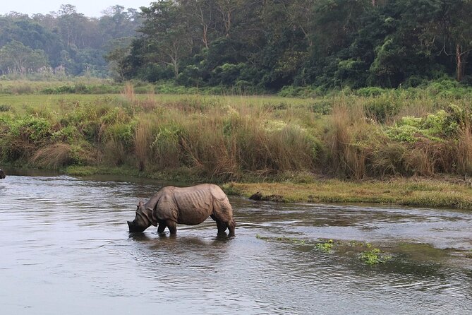 3 Days and 2 Nights Chitwan National Park Safari Tour in Pokhara